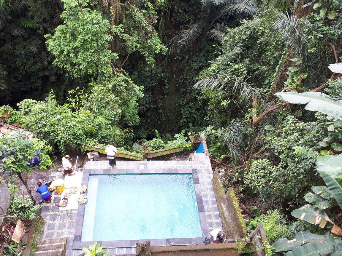 Anggrek Mas Bed & Breakfast Ostello Ubud Esterno foto